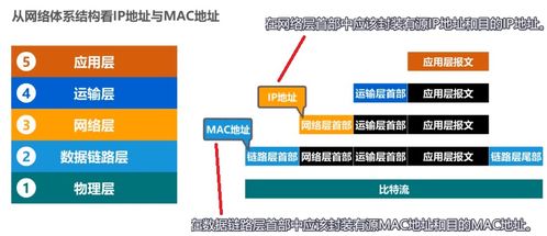 數(shù)據鏈路層（下） 核心功能與協(xié)議分析